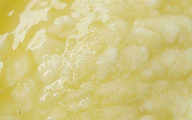 最新蜂王漿價(jià)格多少錢一斤? 蜂王漿