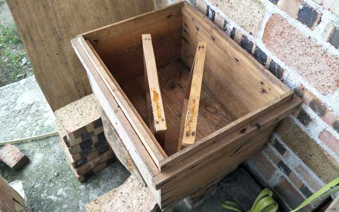 發(fā)展蜜蜂養(yǎng)殖有什么好處? 蜜蜂養(yǎng)殖