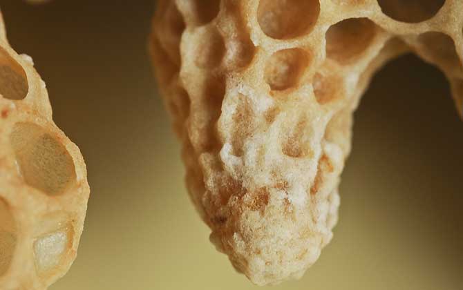 蜜蜂王臺是怎么形成的? 蜜蜂王臺