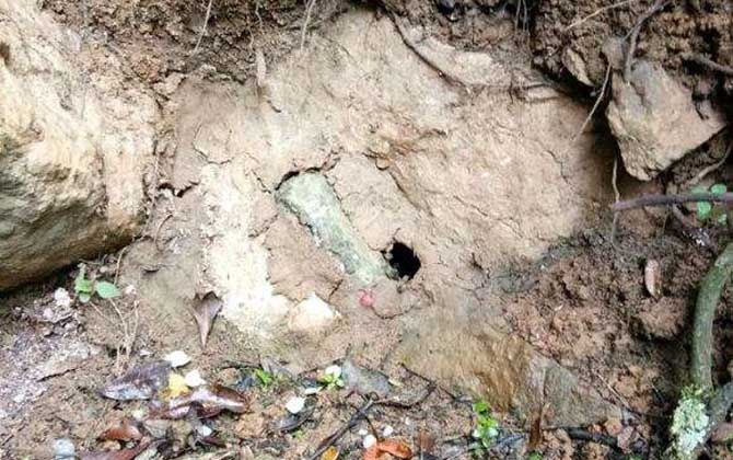 誘蜂洞挖在什么地方好? 誘蜂洞