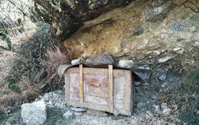 誘蜂箱來了十幾只蜂能誘到嗎? 誘蜂箱