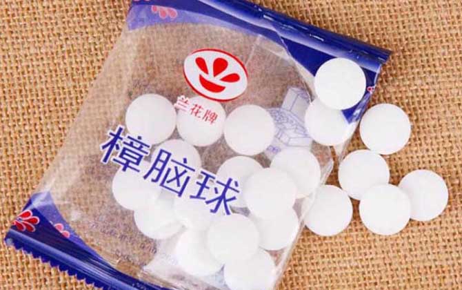衛(wèi)生球怎樣治蜂螨最有效? 衛(wèi)生球