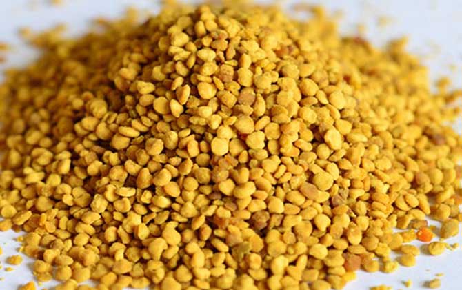 養蜂不知道怎么配飼料,試試這幾個配方,基本都能輕松配制出來! 花粉