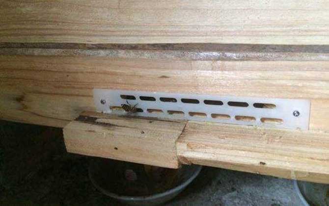 養(yǎng)蜂工具有哪些?不只有蜂箱,使用這些工具,養(yǎng)蜂方能得心應(yīng)手! 防逃片