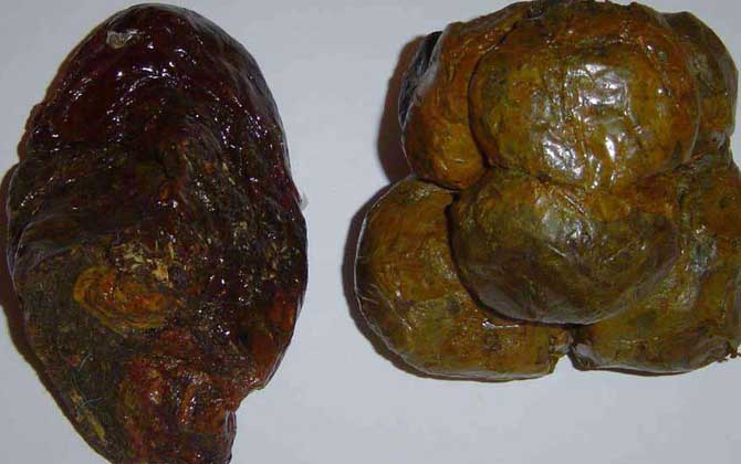 蜂膠怎么吃效果好?吃對了好處不用多說,吃錯了反而對健康不利! 蜂膠