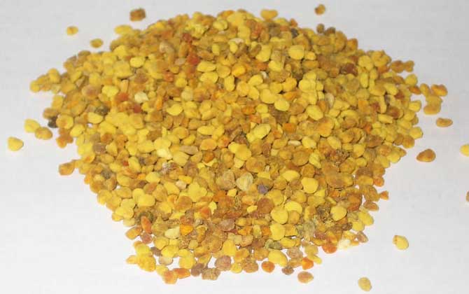 蜂花粉的作用與功效有哪些?經(jīng)常吃些蜂花粉,這7個好處跑不了! 蜂花粉