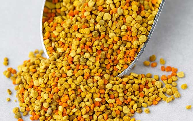 蜂花粉的作用與功效有哪些?經(jīng)常吃些蜂花粉,這7個好處跑不了! 蜂花粉