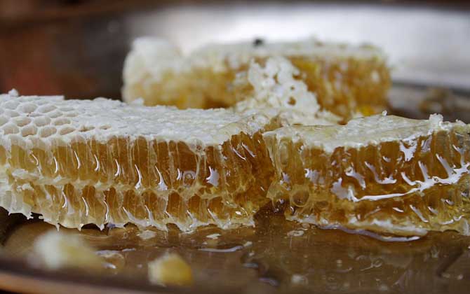 土蜂蜜、蜂巢蜜、百花蜜、洋槐蜜哪個好?答案不一定,質量是關鍵! 蜂巢蜜