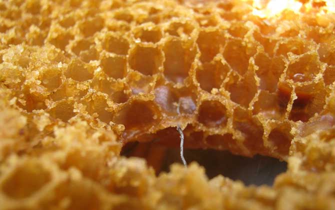 蜂蜜洗臉有什么好處?不但可以美白保濕,而且還能祛斑除皺! 蜂蜜洗臉