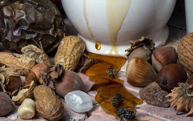 蜂蜜酒的作用與功效有哪些?不但能增強體質,而且還能美容養顏! 蜂蜜酒