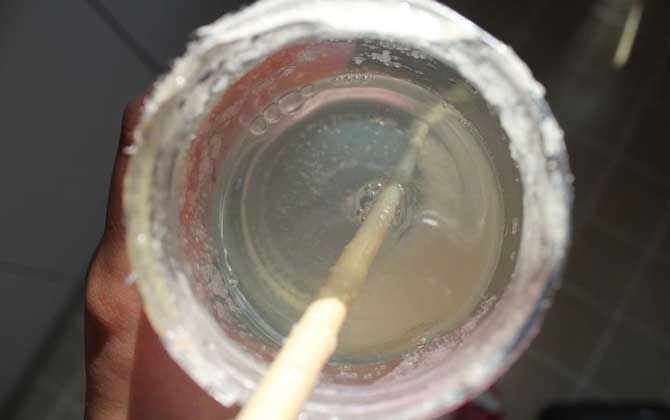 假蜂蜜的特點(diǎn)有哪些?除了外觀和口感,能不能結(jié)晶也是重要特征! 蜂蜜