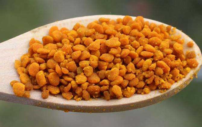 茶花粉的功效與作用有哪些?經(jīng)常吃些茶花粉,這6個好處跑不了! 茶花粉