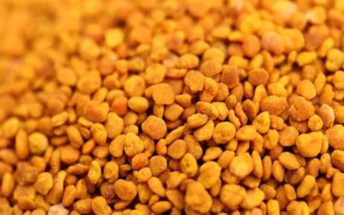 茶花粉的功效與作用有哪些?經(jīng)常吃些茶花粉,這6個好處跑不了! 茶花粉