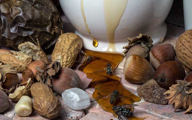 蜂蜜會(huì)過期嗎?會(huì)變質(zhì)嗎?蜂蜜沒有保質(zhì)期,但保存不當(dāng)也易變質(zhì)! 蜂蜜