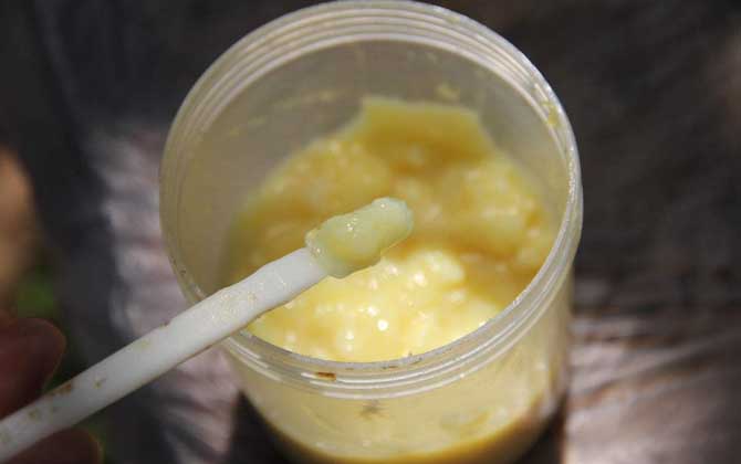 蜂王漿美容有效果嗎?內(nèi)服能減緩衰老速度,外敷則能美白和嫩膚! 蜂王漿