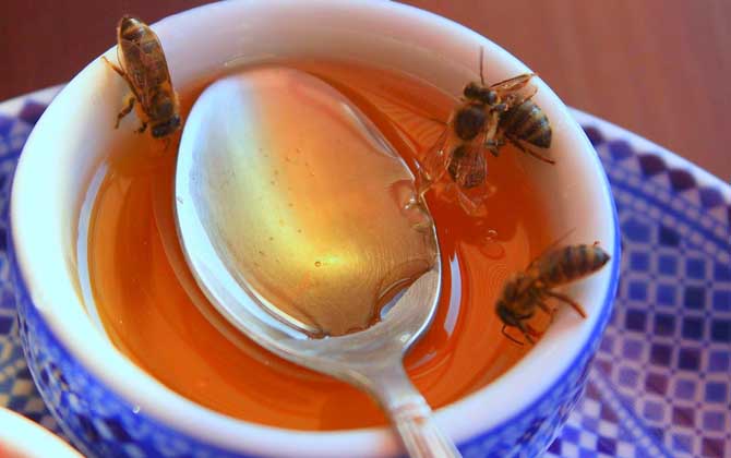 檸檬蜂蜜水什么時候喝最好?切勿空腹喝,否則極易導致胃酸過多! 蜂蜜