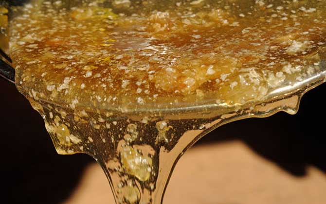 女人喝蜂蜜水的最佳時間,記住這四個時間點,喝蜂蜜水效果最好! 蜂蜜