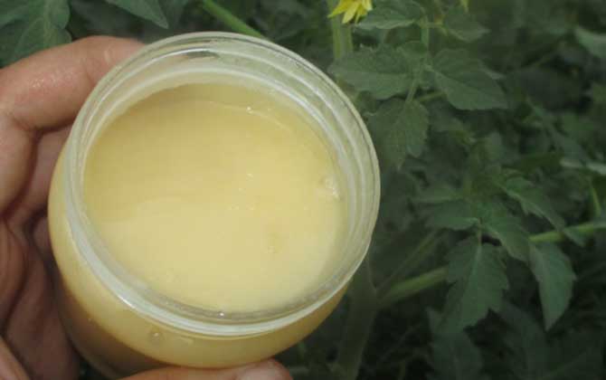 女人喝蜂蜜水的最佳時間,記住這四個時間點,喝蜂蜜水效果最好! 蜂蜜