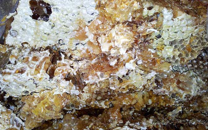 土蜂蜜價格多少錢一斤?比普通蜂蜜貴得多,基本都在100元以上! 土蜂蜜