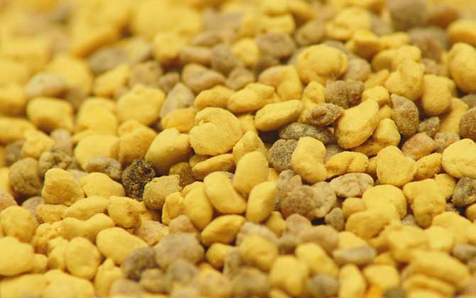 男人吃花粉有什么好處?不但能增強體質,還能預防前列腺疾病! 花粉