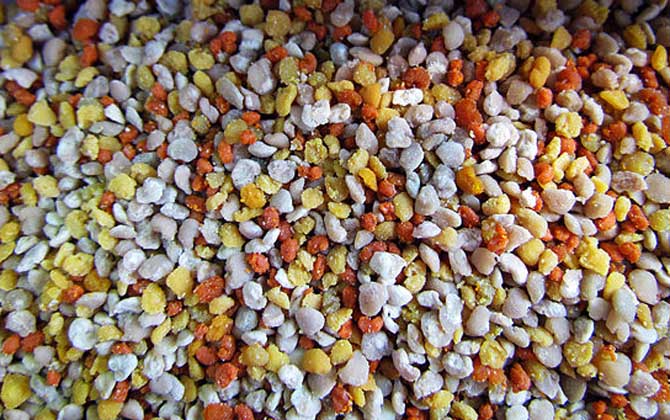 花粉的正確食用方法,絕對(duì)不能過量食用,還要注意禁忌人群! 花粉