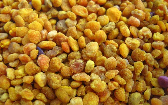 花粉的正確食用方法,絕對(duì)不能過量食用,還要注意禁忌人群! 花粉