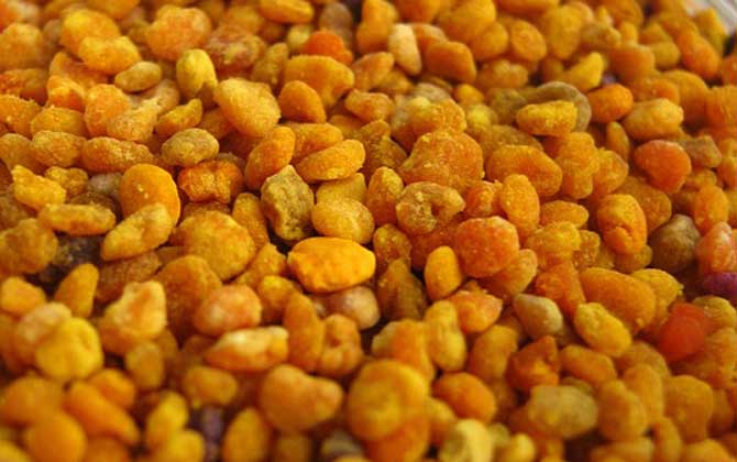 花粉的正確食用方法,絕對(duì)不能過量食用,還要注意禁忌人群! 花粉