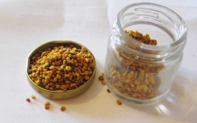 花粉的正確食用方法,絕對(duì)不能過量食用,還要注意禁忌人群! 花粉