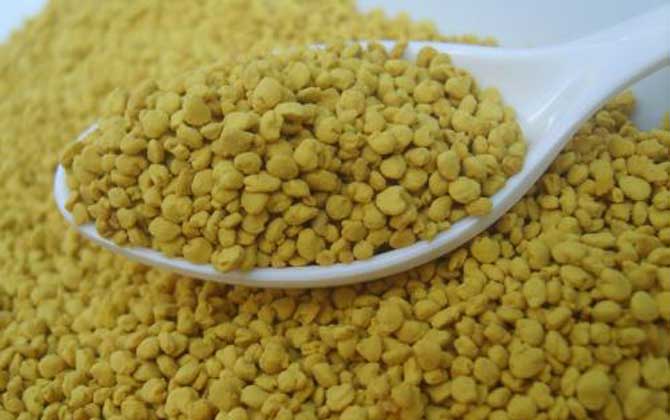 蜂花粉一天一次吃幾勺?因勺子而異,但總量要控制在10~15克! 蜂花粉