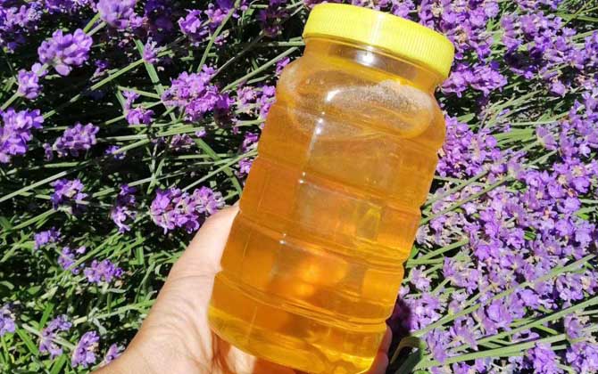 薰衣草蜜的作用與功效及食用方法 薰衣草蜜
