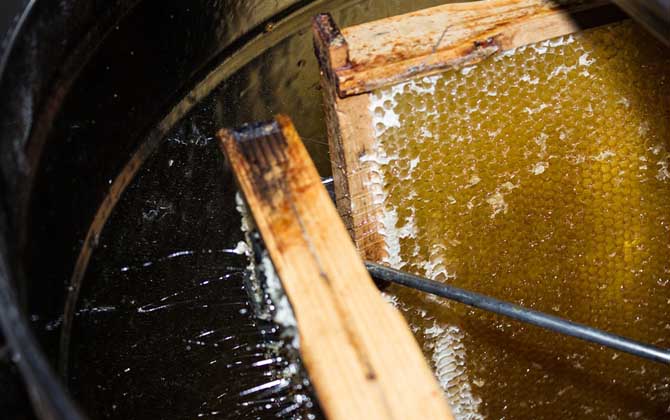 蜂蜜價格為什么有高有低? 蜂蜜