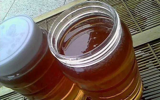 棗花蜜價格多少錢一斤? 棗花蜜