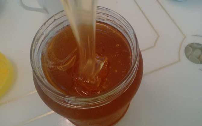 烏桕蜜價格多少錢一斤? 烏桕蜜