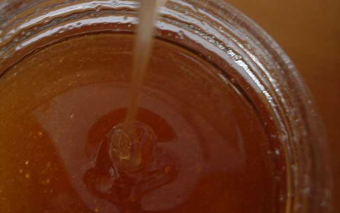 黨參蜂蜜價格多少錢一斤? 黨參蜂蜜