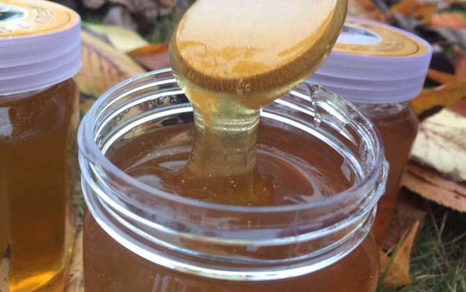 紫云英蜂蜜價(jià)格多少錢一斤? 紫云英蜂蜜
