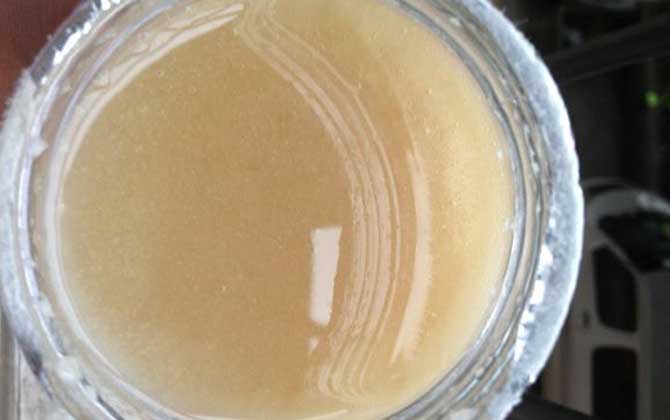 白醋蜂蜜水的功效及簡單做法 蜂蜜