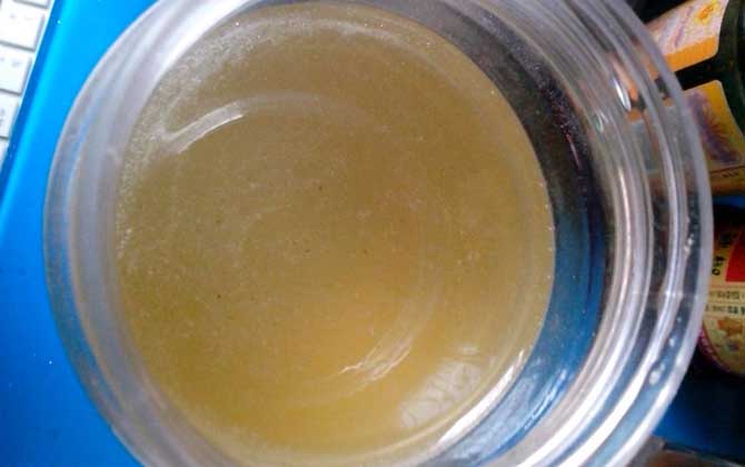 蜂蜜檸檬的腌制方法及小竅門 蜂蜜