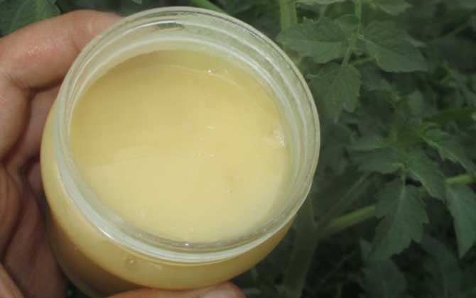 蜂蜜補水保濕最有效的方法 蜂蜜