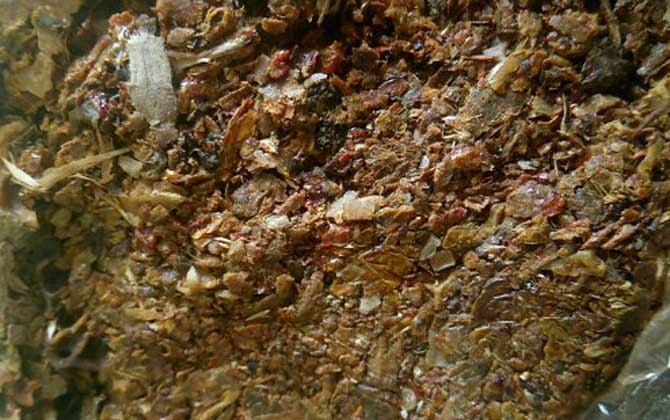 蜂膠有哪些副作用與禁忌? 蜂膠