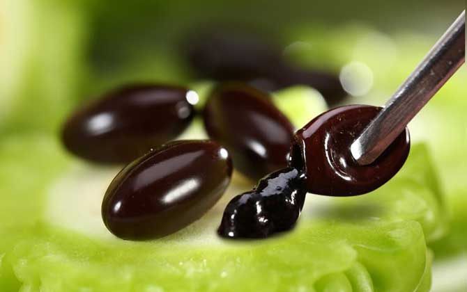 蜂膠過期了還能吃嗎? 蜂膠