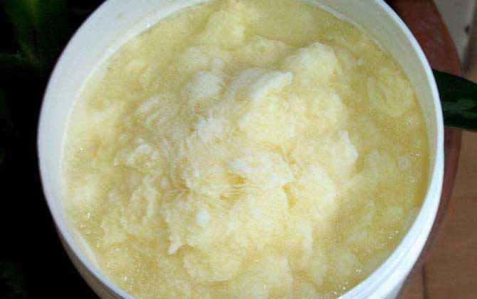 蜂王漿可以長期吃嗎? 蜂王漿