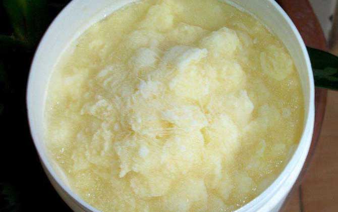 蜂王漿變質(zhì)是什么樣子的? 蜂王漿