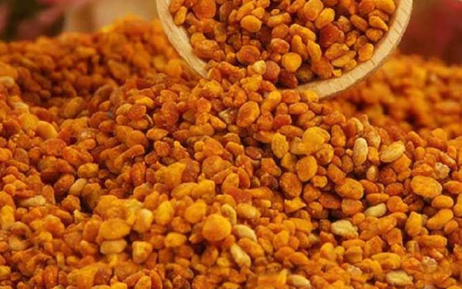 最新蜂花粉價格多少錢一斤? 蜂花粉