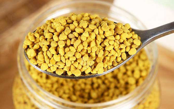 蜂花粉和松花粉有什么區別? 蜂花粉