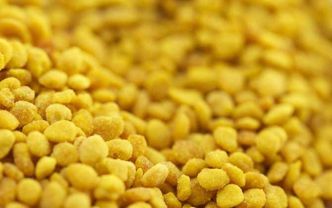 蜂花粉和松花粉有什么區別? 蜂花粉