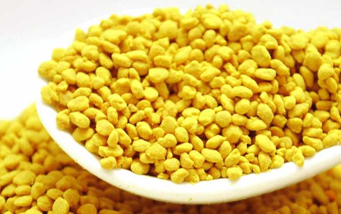 蜂花粉的禁忌及正確吃法 蜂花粉