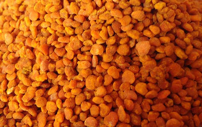 荷花粉和茶花粉的區(qū)別 茶花粉