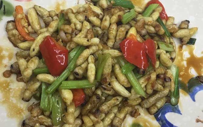 蜂蛹有哪些副作用與禁忌? 蜂蛹