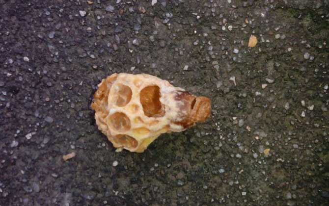 介入王臺(tái)的最佳時(shí)間 王臺(tái)