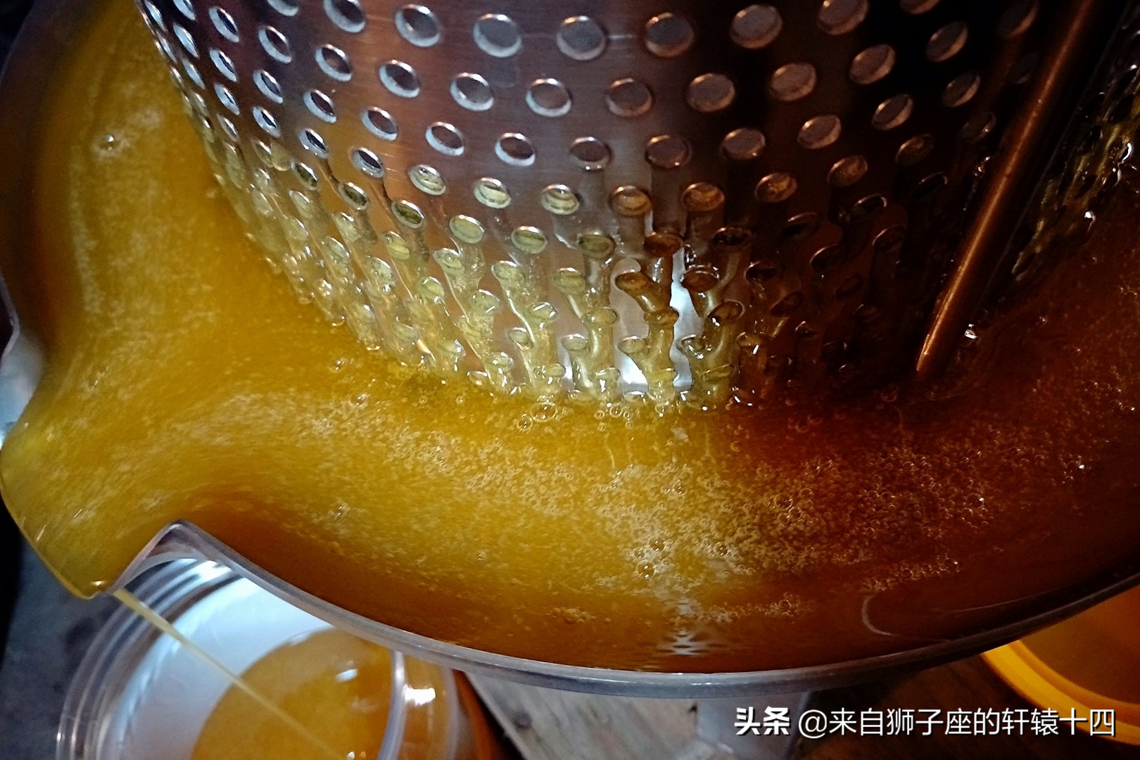 探尋養蜂人，取蜂蜜要用煙熏